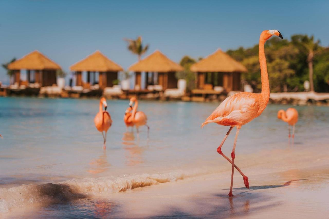Renaissance Wind Creek Aruba Resort Oranjestad Esterno foto